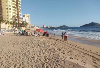 ¡De terror! Captan cocodrilo en plena playa de Mazatlán mientras devora un pelícano