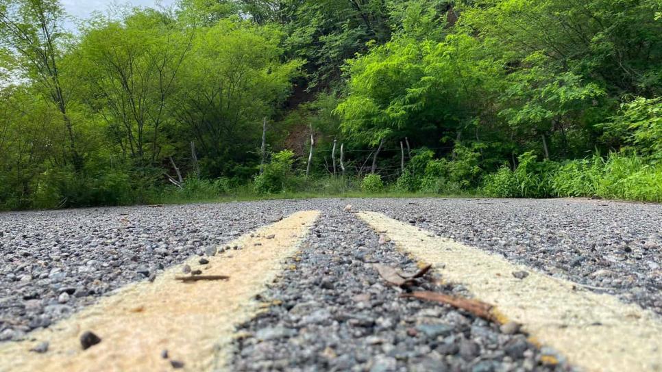 Sonora quiere «robar» a Sinaloa proyecto de carretera Choix-Chihuahua