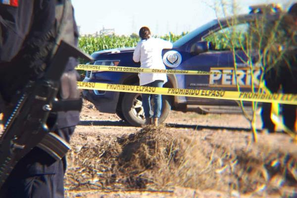 «Y la liebre saltó»: feminicidio de activista interrumpe veda de homicidios en Sinaloa