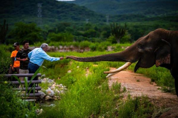 Rocha Moya visita al elefante Big Boy en el santuario Ostok