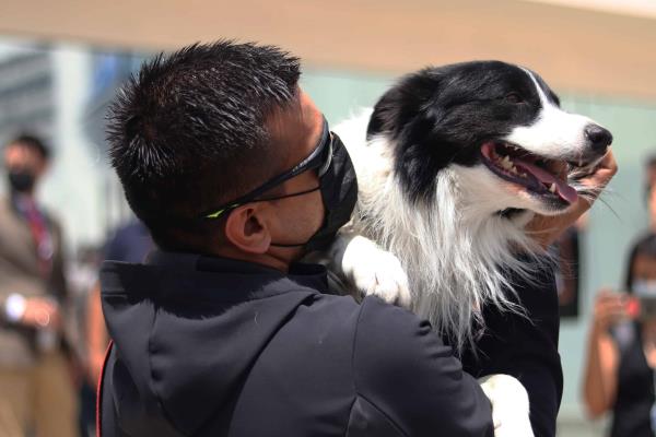 Condenan a 10 años de cárcel a asesino de perros en Querétaro