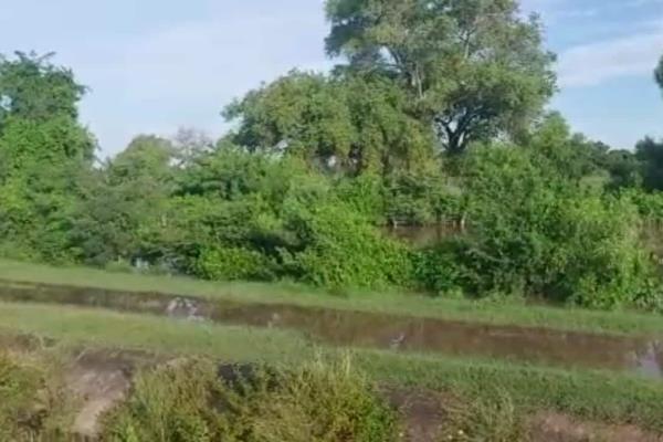Alertan sobre alto nivel arroyos de Guasave