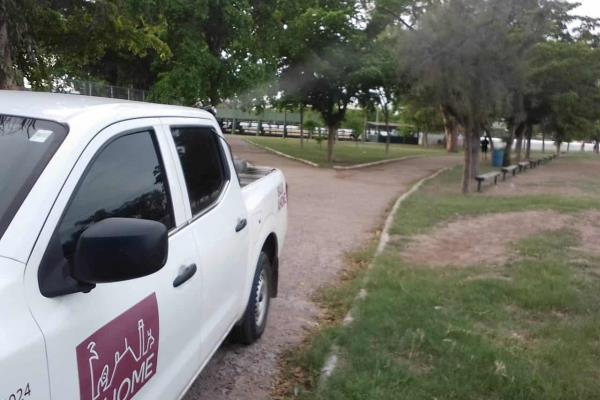 Alistan las escuelas de Ahome: inicia fumigación contra moscos y poda de árboles