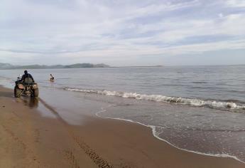 Reportan avistamiento de dos cocodrilos en la playa El Maviri