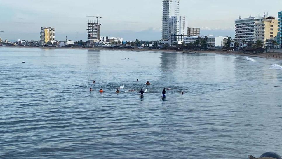 Alertan por avistamiento de 2 cocodrilos en Playa Norte de Mazatlán