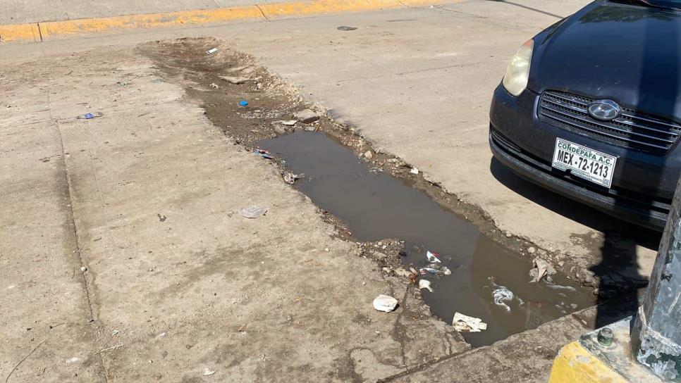 Vecinos de Pradera Dorada tienen 6 meses batallando con una zanja abandonada