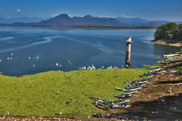 Por impacto de «Orlene» inician desfogues de presas en Sinaloa