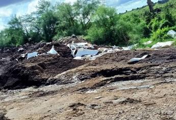 Coepriss interviene por contaminación en canal de Mochicahui