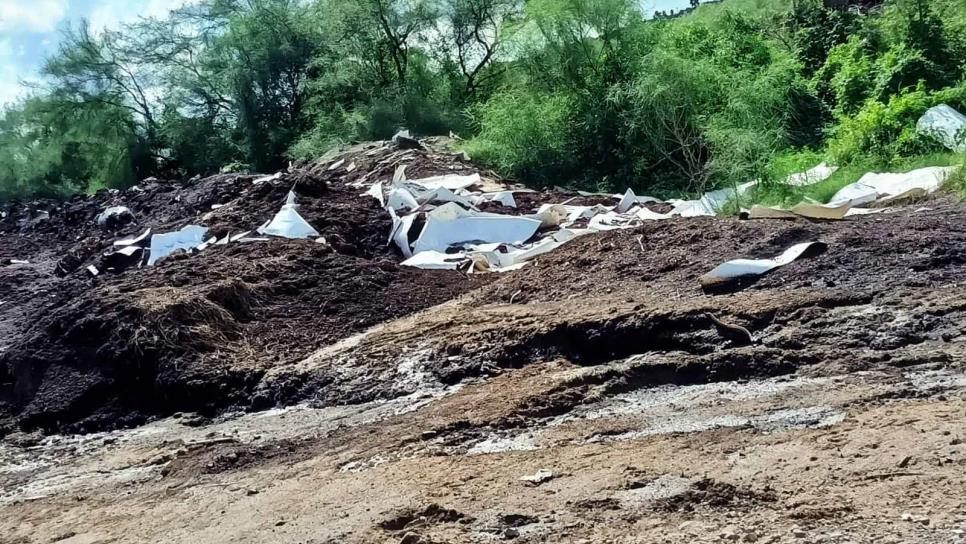 Coepriss interviene por contaminación en canal de Mochicahui