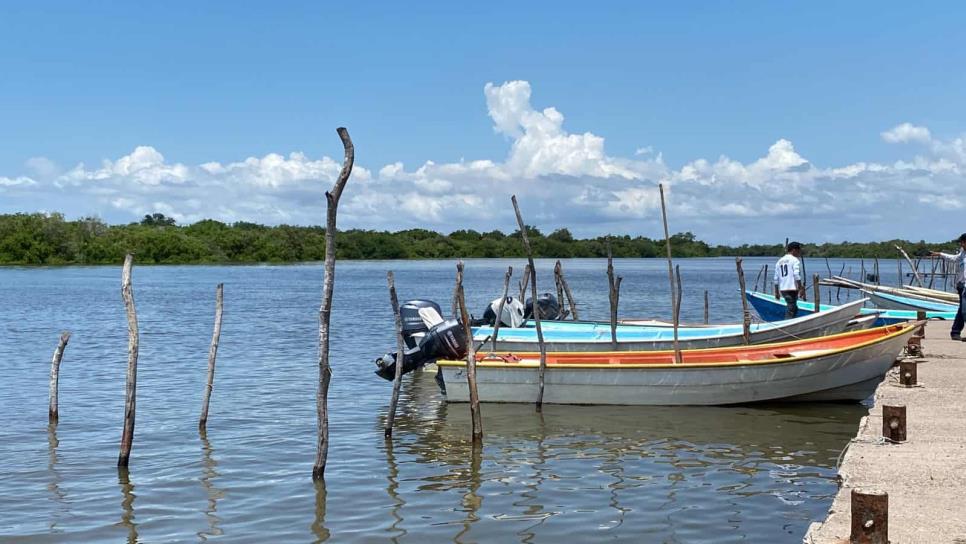 ¡Quizá les dan «madruguete»! Pescadores del centro levantarán la veda hasta el 19 de septiembre