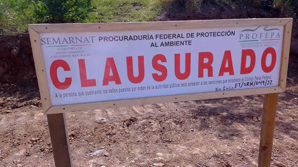 Clausura de obra en Cerro de la Memoria fue por denuncia ante la Profepa