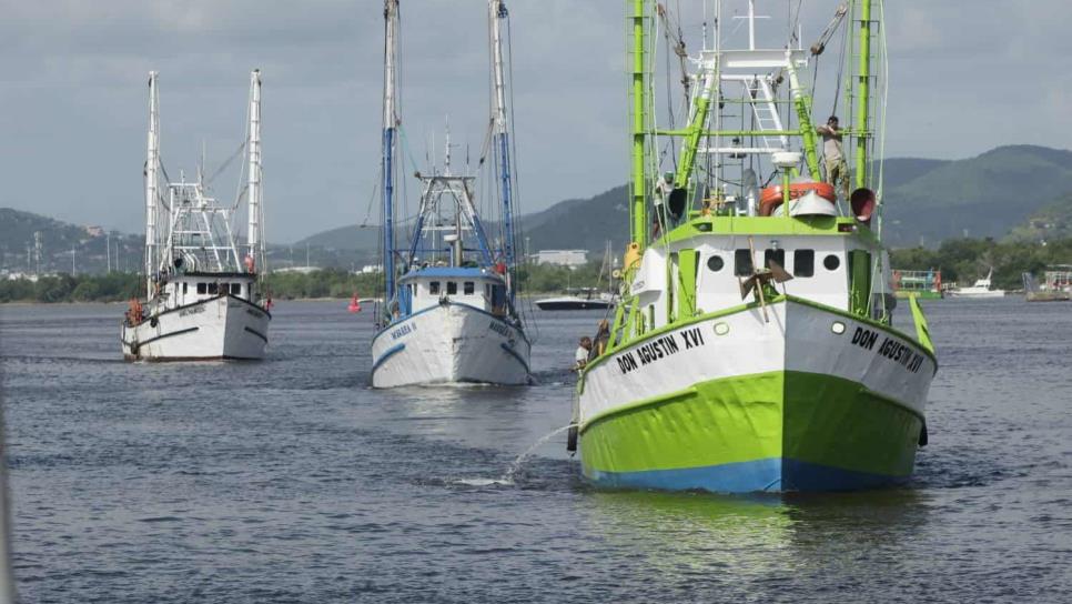 Arrancan barcos camaroneros capturas en el Pacífico y golfo de California