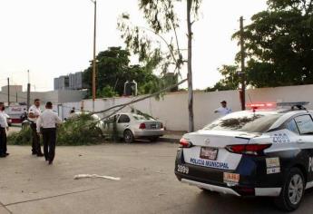 Atiende Protección Civil afectaciones generadas por tornado en Guamúchil