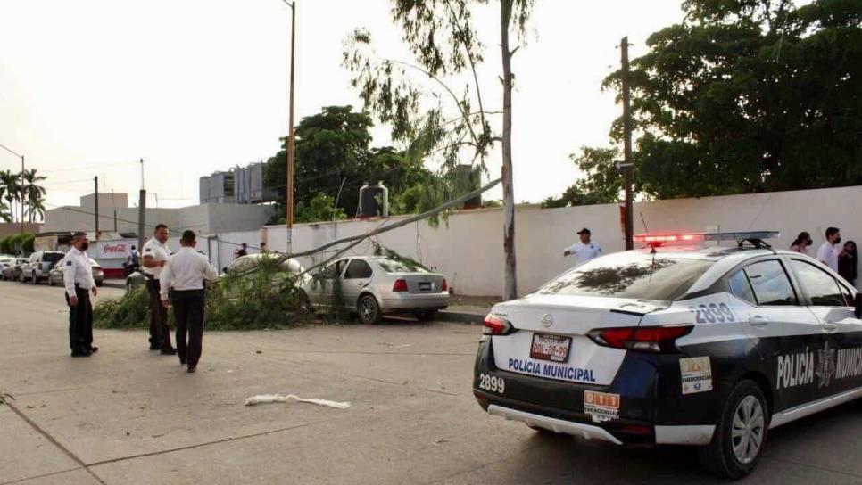 Atiende Protección Civil afectaciones generadas por tornado en Guamúchil