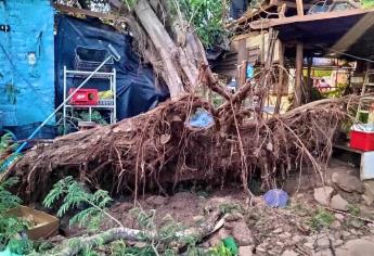 VIDEO: Tornado en Guamúchil deja afectaciones en la ciudad