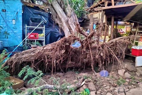 VIDEO: Tornado en Guamúchil deja afectaciones en la ciudad