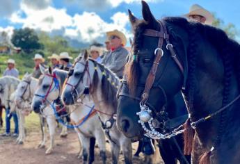 Más de mil caballos de todo México participan en la Cabalgata Surutato 2022