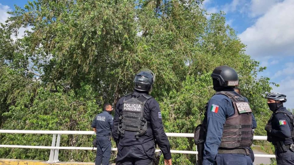 Hombre sube a un árbol de más de 10 metros y rescatistas acuden en auxilio