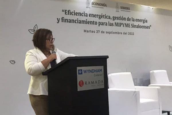 Sinaloa, de los estados que menos ahorra energía por intenso calor: SEBIDES