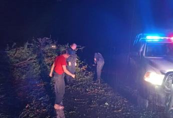 Ráfagas de viento sorprenden al sur de Sinaloa