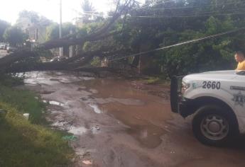 Calor, lluvia y hasta granizo en Sinaloa