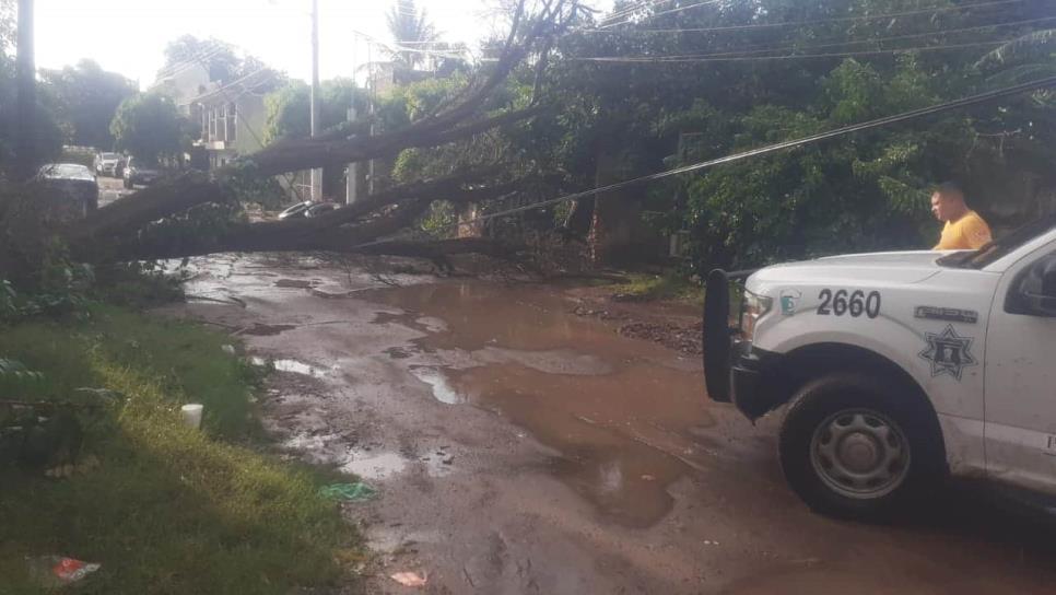 Calor, lluvia y hasta granizo en Sinaloa