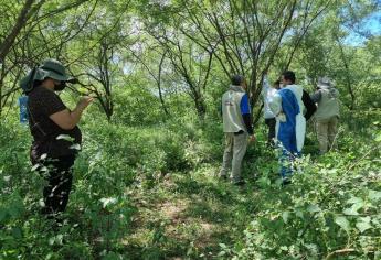 Hallan restos humanos en camino a La Primavera, en Culiacán