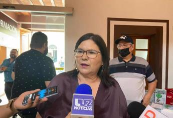 Apoyo a militarización da esperanza a la Reforma Electoral: Imelda Castro