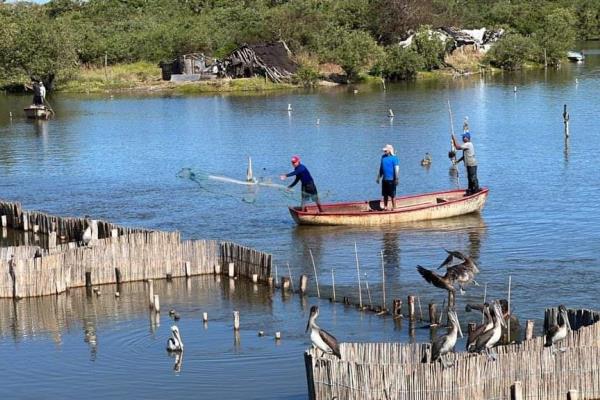 Programas de pesca serán entregados después de las elecciones: Guerra Mena