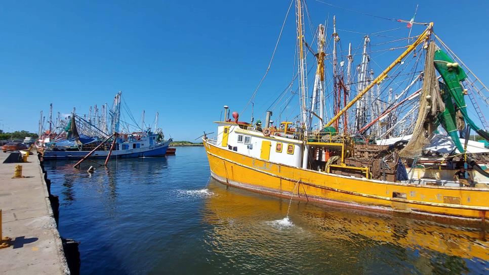 Reactiva pesca de camarón economía de las familias de Topolobampo