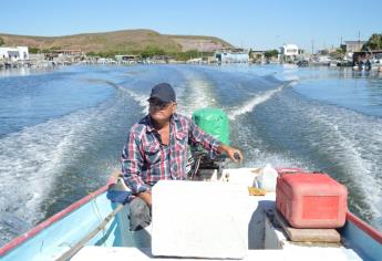 Sanear bahía de Ohuira mejorará condiciones del camarón: cooperativas