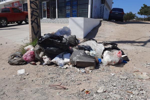 En Mazatlán hay recolectores que solo recogen la basura dónde les dan dinero: Secretario de Ayuntamiento