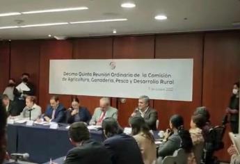 «Eliminación de plaguicidas afectará a agricultura de Sinaloa»: CAADES