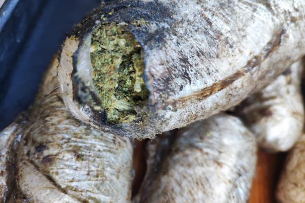 Aseguran más de dos mil pastillas de fentanilo y mariguana en Culiacán