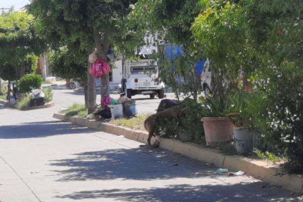 Reconoce municipio déficit de camiones recolectores de basura; se ocupan 44 y hay 38 en función