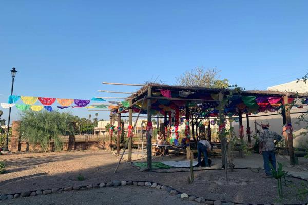 Mariposa Cuatro Espejos une a Yoremes en Ahome