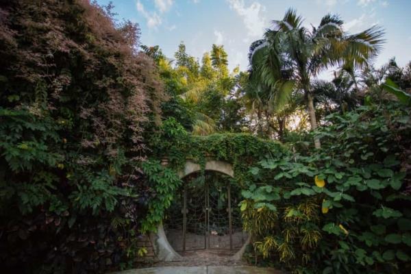 Jardín Botánico de Culiacán, el lugar donde se conservan especies desde hace 35 años