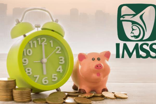 Pensión del IMSS: ¿Me la pueden quitar?, ¿Cómo la puedo perder?