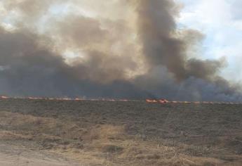 Humareda por quema de espárragos causa movilización de Bomberos