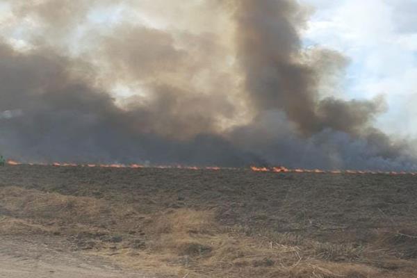 Humareda por quema de espárragos causa movilización de Bomberos