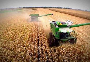 Rusia y la India incrementarán exportación de trigo