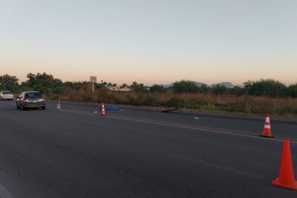 Muere hombre atropellado por la carretera Los Mochis-Ahome