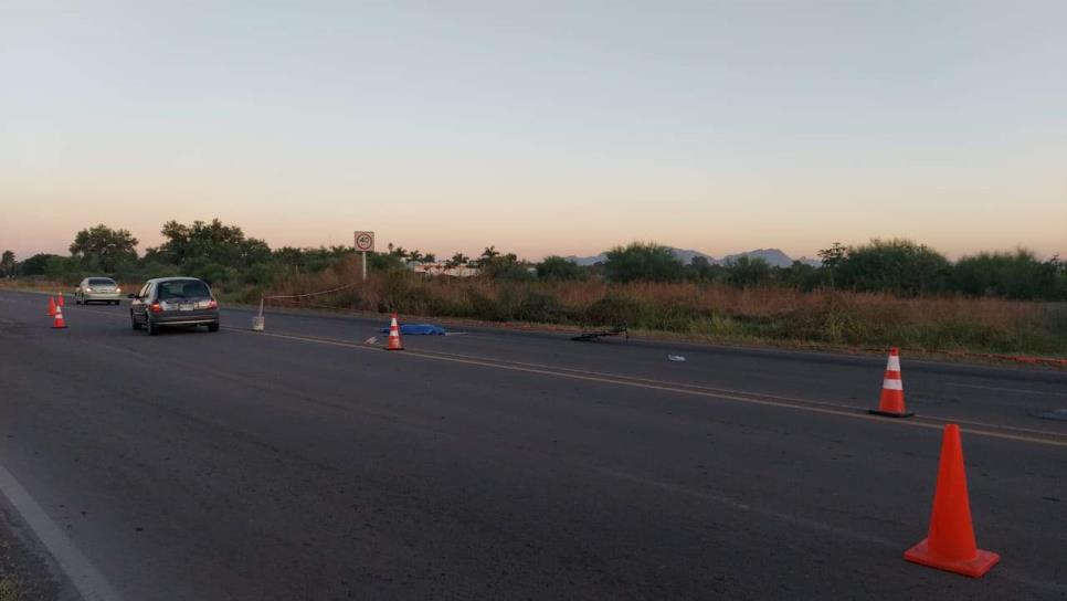 Muere hombre atropellado por la carretera Los Mochis-Ahome