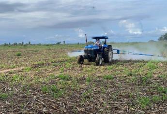 «Prohibición de plaguicidas dará un duro golpe para la agricultura»: AARFS