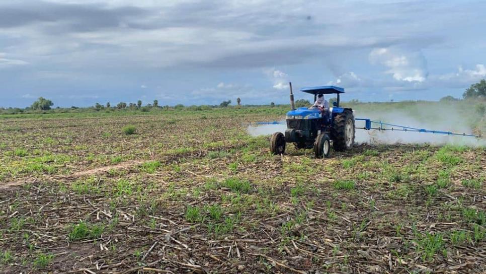 «Prohibición de plaguicidas dará un duro golpe para la agricultura»: AARFS