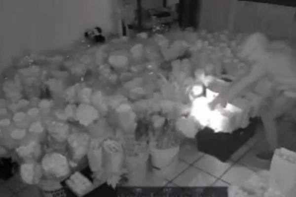 Fiscalía de Sinaloa abrirá carpeta de investigación tras incendio de Florería en Los Mochis