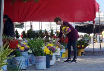 Precios de las flores en venta se mantienen baratos