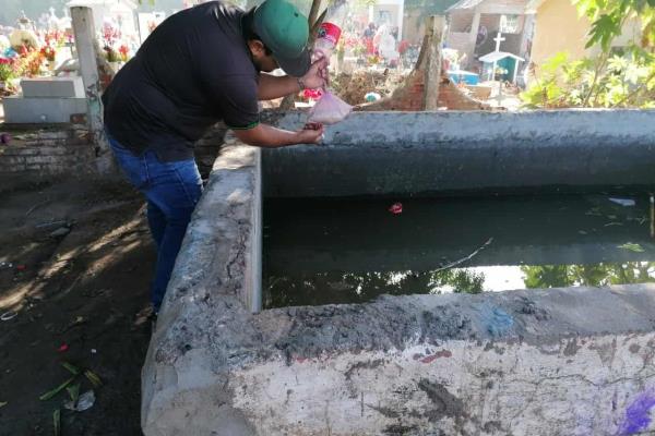 Inician campaña contra el dengue en panteones de El Fuerte