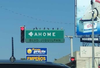 Ayuntamiento de Ahome instalará 20 semáforos