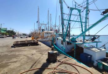 Pescadores de Mazatlán reportan mala temporada en capturas de camarón